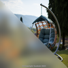 Outdoor Hanging Chair