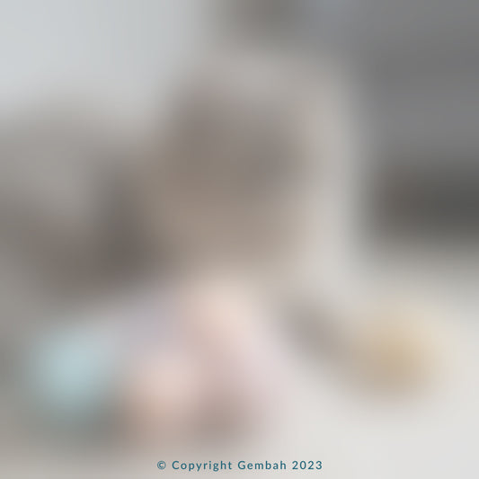 बिल्ली का खिलौना