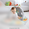 Interactive Baby Learning Mat