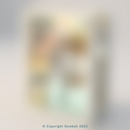 Shower/Bath Organizer