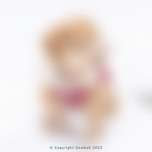 कुत्ते की जैकेट